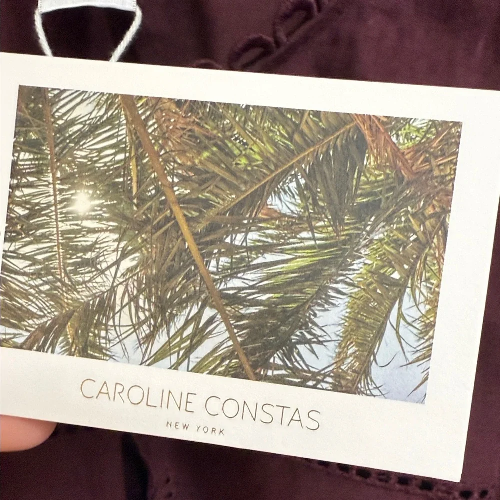 Caroline Constas Burgundy Eyelet Blouse - Picture 3 of 15